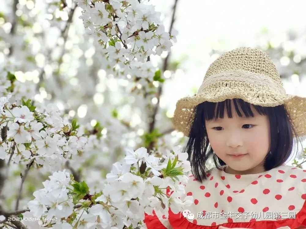 春天的色彩，都映在交子娃的眼里